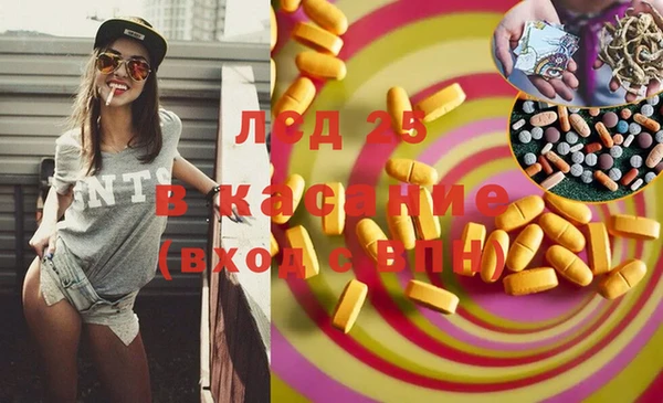 гашик Новодвинск